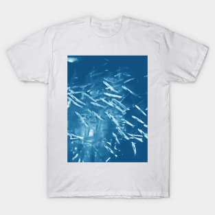 Juvenile fishes school T-Shirt